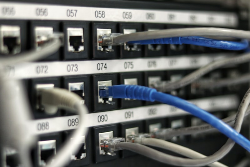 SEO Migration und Rankings